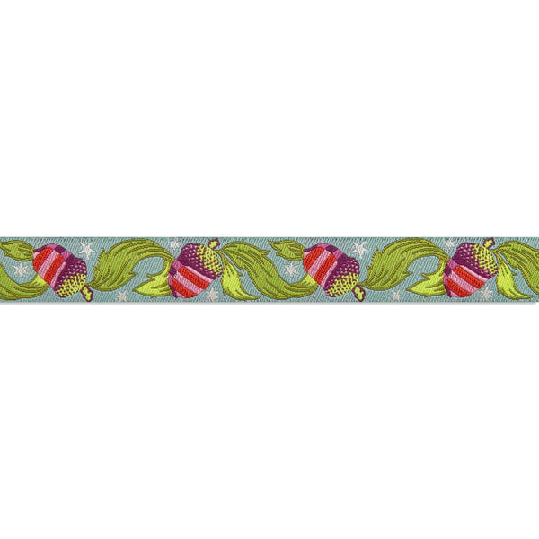 Tula Pink Tiny Beasts Ribbons - Oh Nuts! Aqua Glimmer - 5/8" Wide - Hummingbird Lane Fabrics and Notions